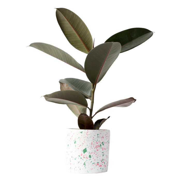 Pink & Green Terazzo Plant Pot