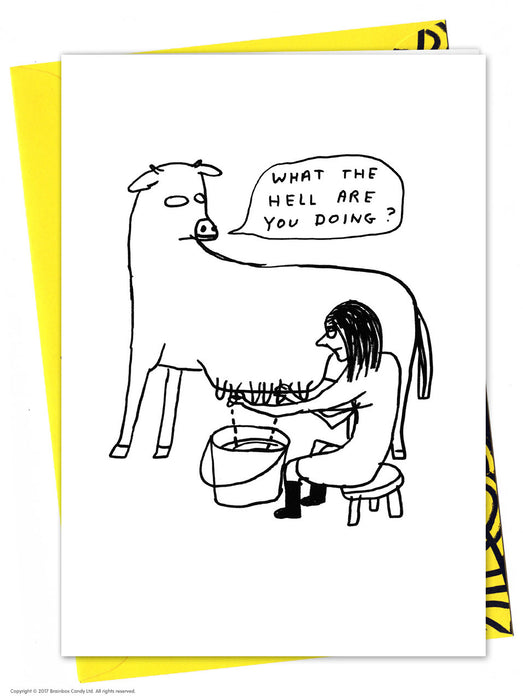 David Shrigley What The Hell Are You Doing Greetings Card