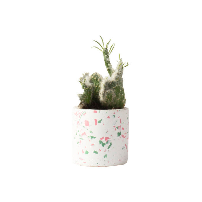 Pink & Green Terazzo Plant Pot