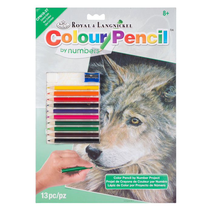 Colour Pencil By Numbers - Curious Eye