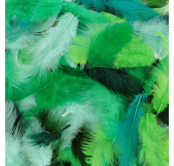 Mixed Coloured Feathers 10G