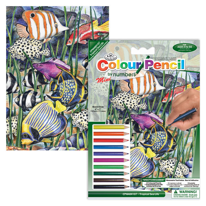 Colour Pencil By Numbers Mini - Tropical Underwater Life