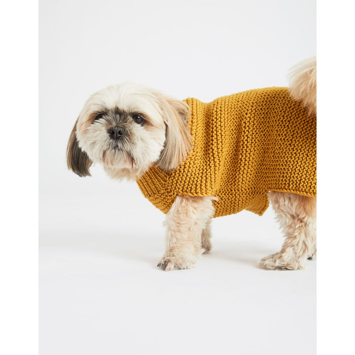 Dog wearing mustard yellow jumper