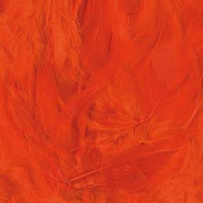 Artemio Coloured Feathers 8-12cm