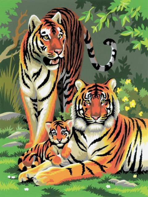 Paint By Numbers Junior Small/Tigers