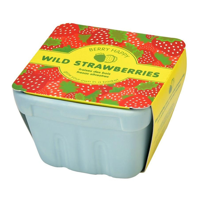 Berry Happy Wild Strawberries Pot
