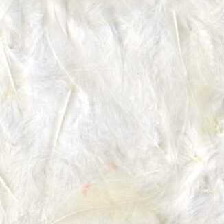 Artemio Coloured Feathers 8-12cm