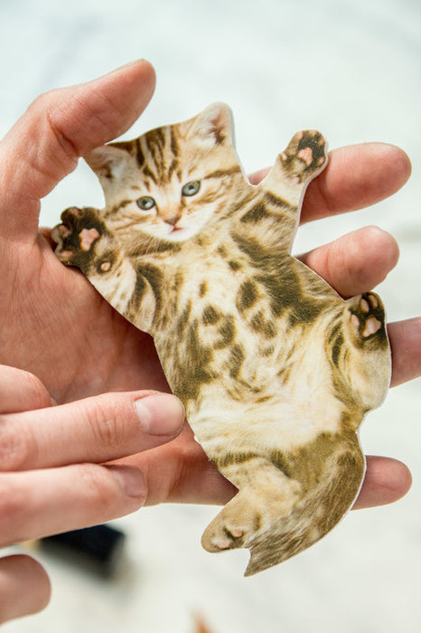 Cat Nail File - Designs Vary