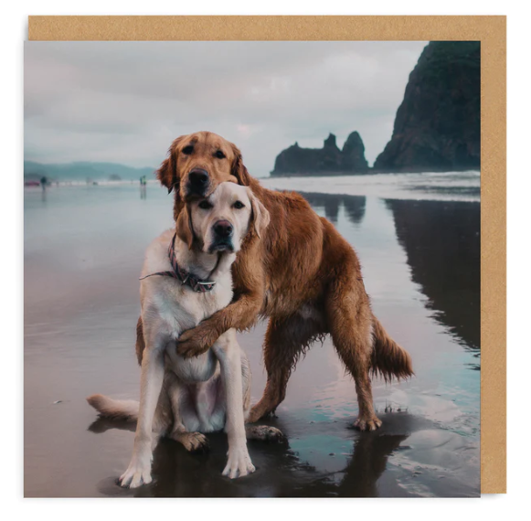 Beach Dogs Hug Greeting Card