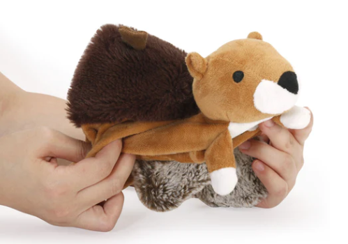 Squirrel/Acorn Dog Toy