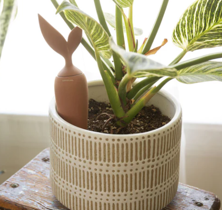 Terracotta Watering Stake