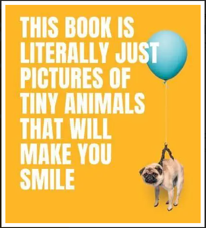 This Book Is Literally Just Of Tiny Animals...