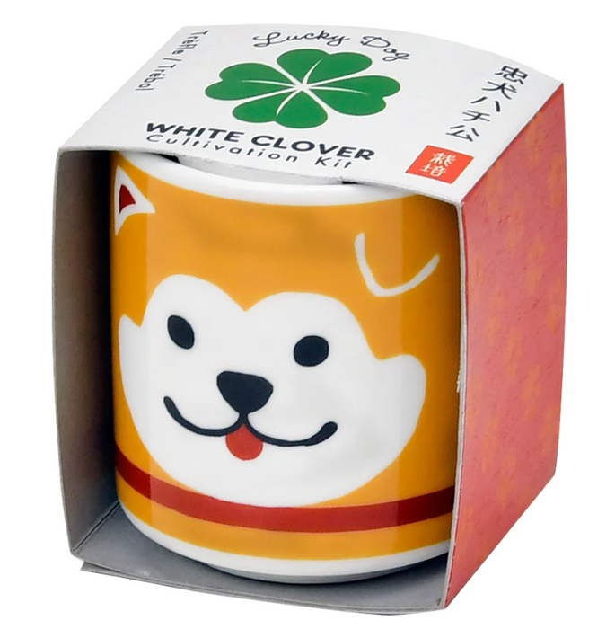 Lucky Plants Cultivation Kit