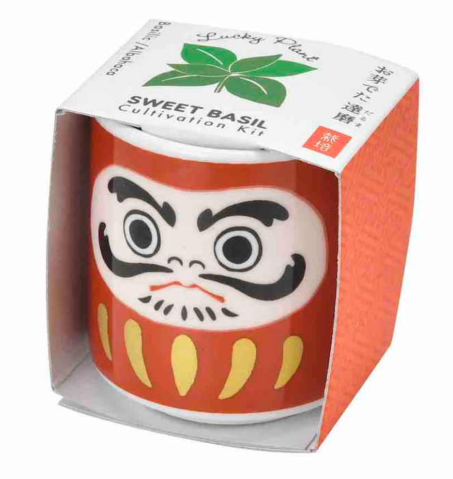 Lucky Plants Cultivation Kit