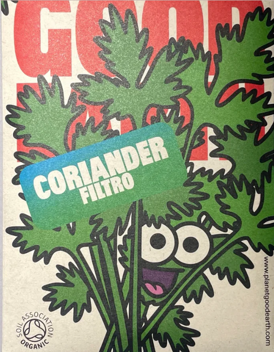 Organic Seeds: Coriander Filtro