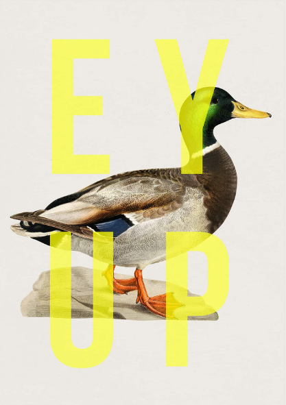 Ey Up Duck Card