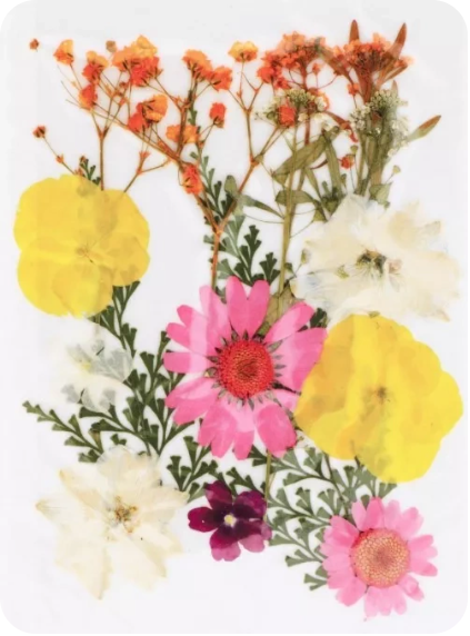 Artemio Pressed Flowers Pink and Yellow