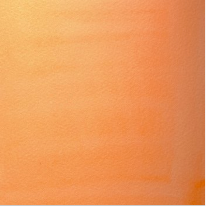Liquitex Ink Flourescent Orange