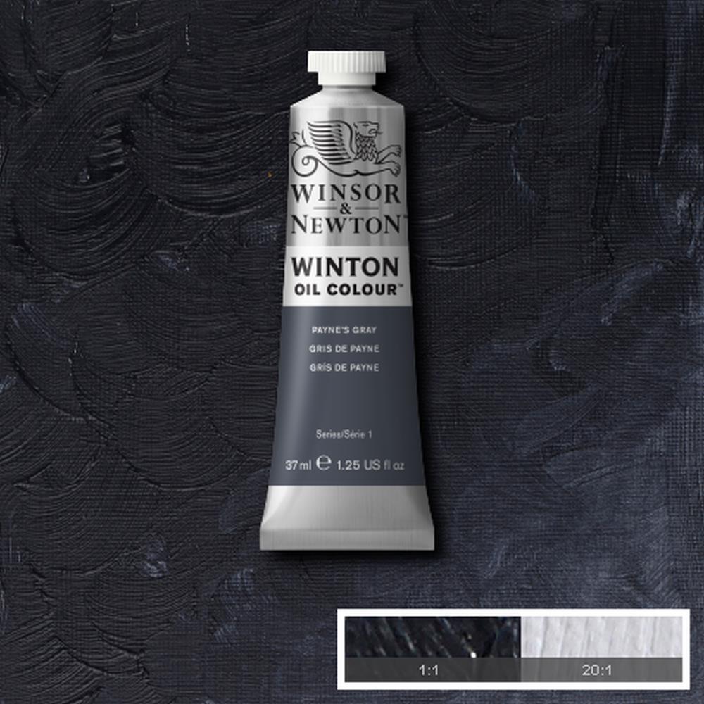 Winsor & Newton Winton Oil Paint 37ml