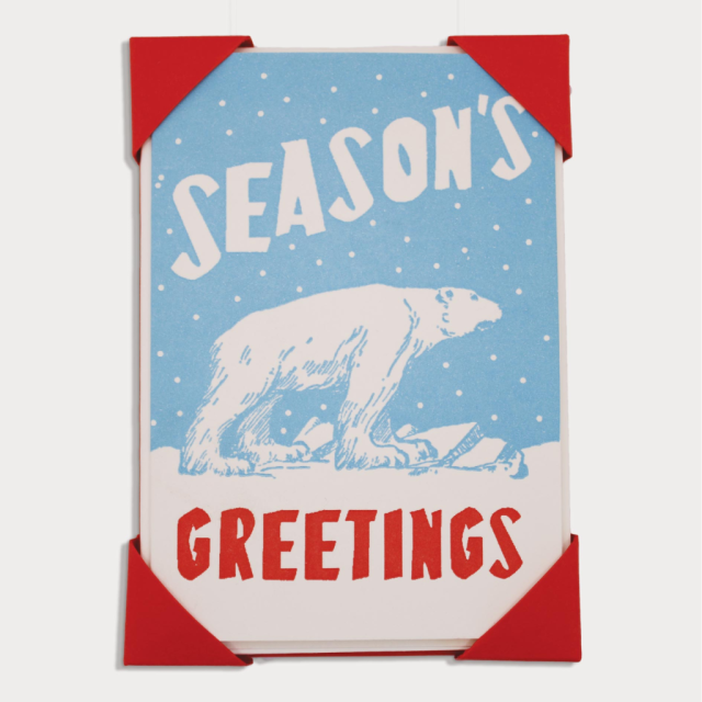 Christmas Polar Bear Cards - 5 Pk