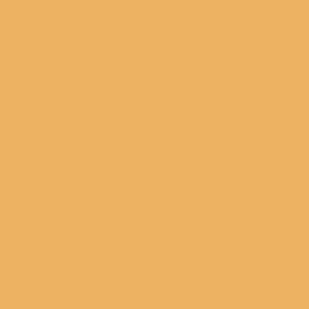 Liquitex Professional Soft Body Acrylic 59ml Bottle