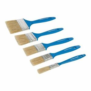 Disposable Paint Brush Set 5pce