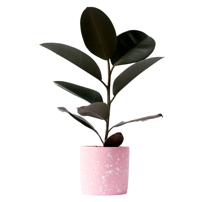 Pink & White Terazzo Plant Pot