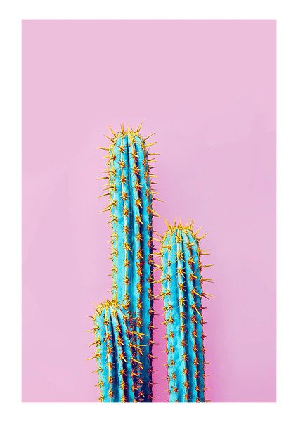Flouro Cactus