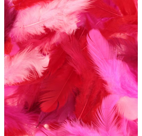 Mixed Coloured Feathers 10G