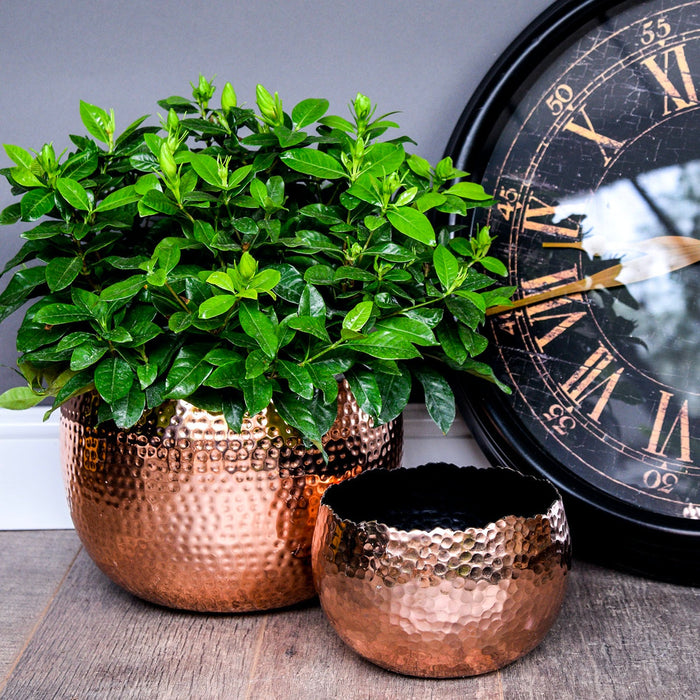 Hammered Bowl Copper/Black
