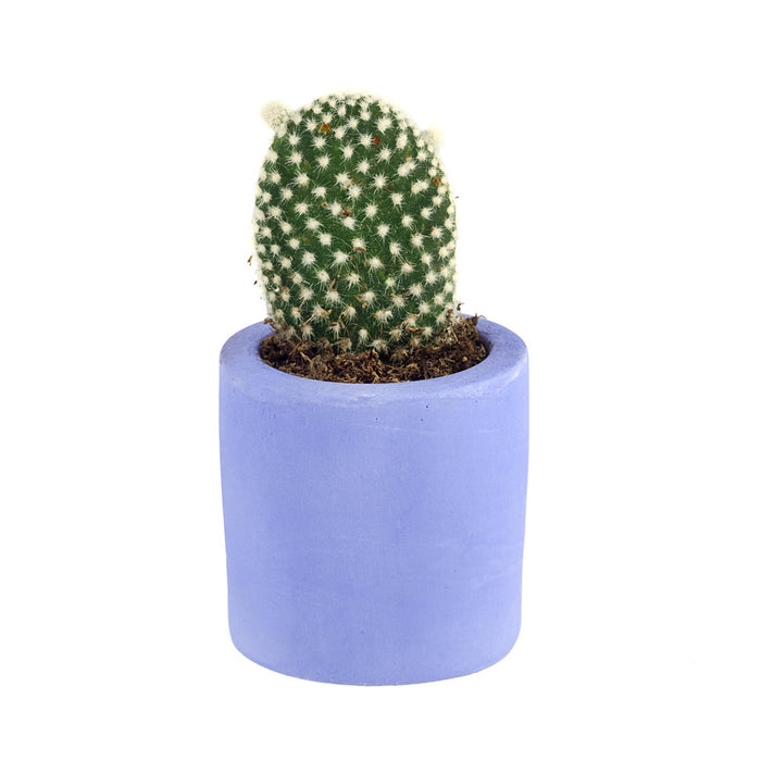 Blue Palette Plant Pot