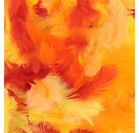 Mixed Coloured Feathers 10G