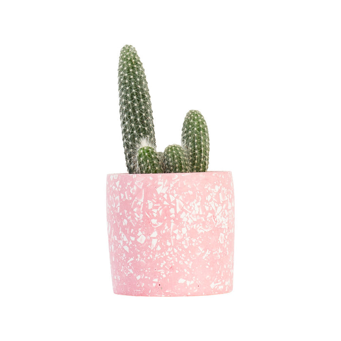 Pink & White Terazzo Plant Pot