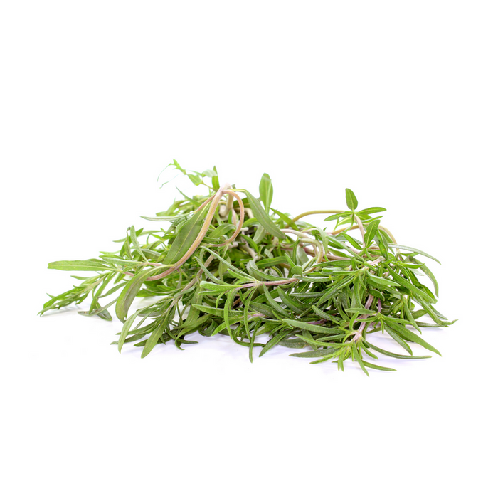 Seed Collection: Summer Savoury