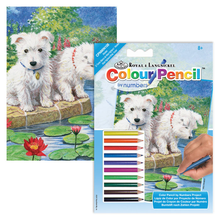 Colour Pencil By Numbers Mini -  Westie Pup Mini Colour Pencil