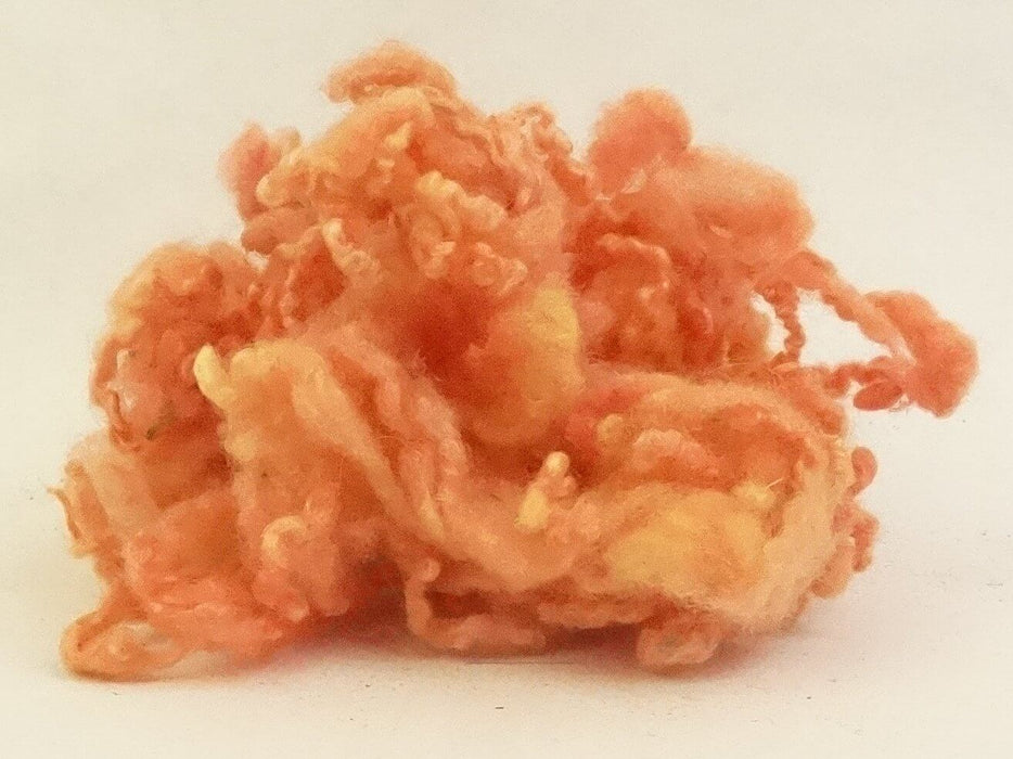 Concentrated Acid Dye 25g