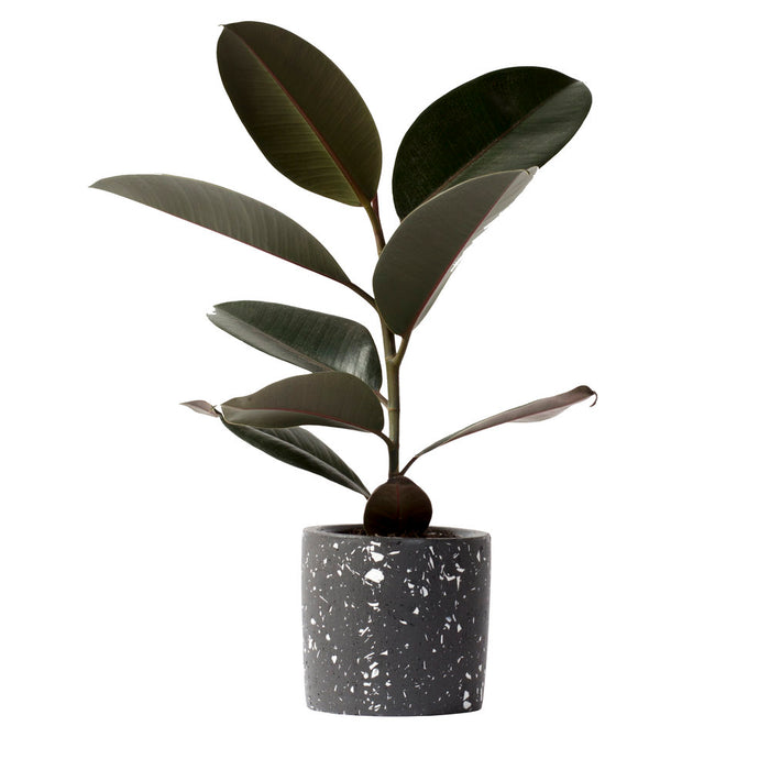 Black & White Terazzo Plant Pot