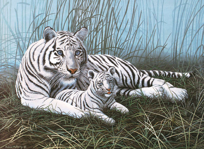Paint By Numbers Junior Large - White Tigers in the Mist