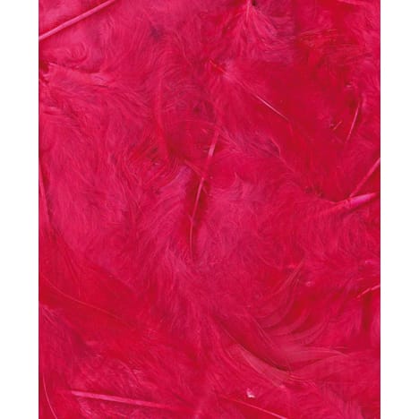 Artemio Coloured Feathers 8-12cm