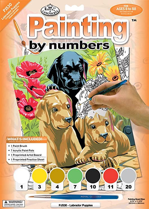 Paint By Numbers Junior Small/Labrador Puppies